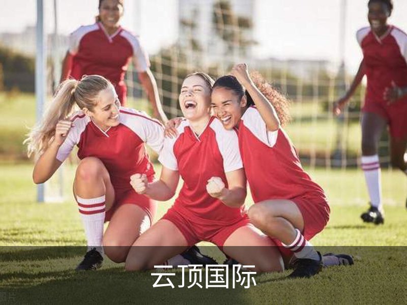 云顶国际概况